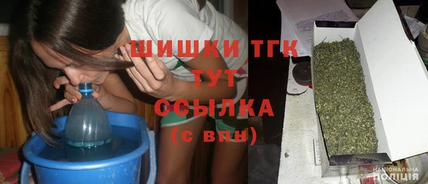 эйфоретик Инта