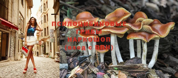 прущая мука Иннополис