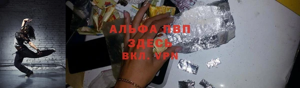 эйфоретик Инта