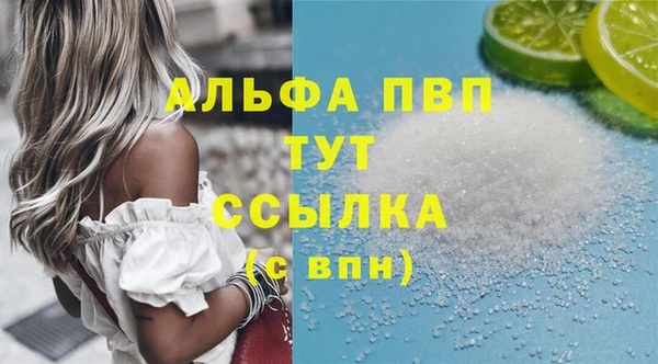 эйфоретик Инта