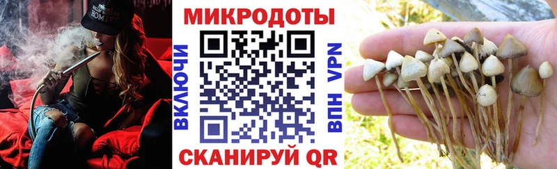 Галлюциногенные грибы мухоморы  Купить где  Зеленодольск 